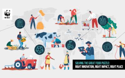 WWF’s Great Food Puzzle Report: A Guide to Driving Positive Change in Food Systems