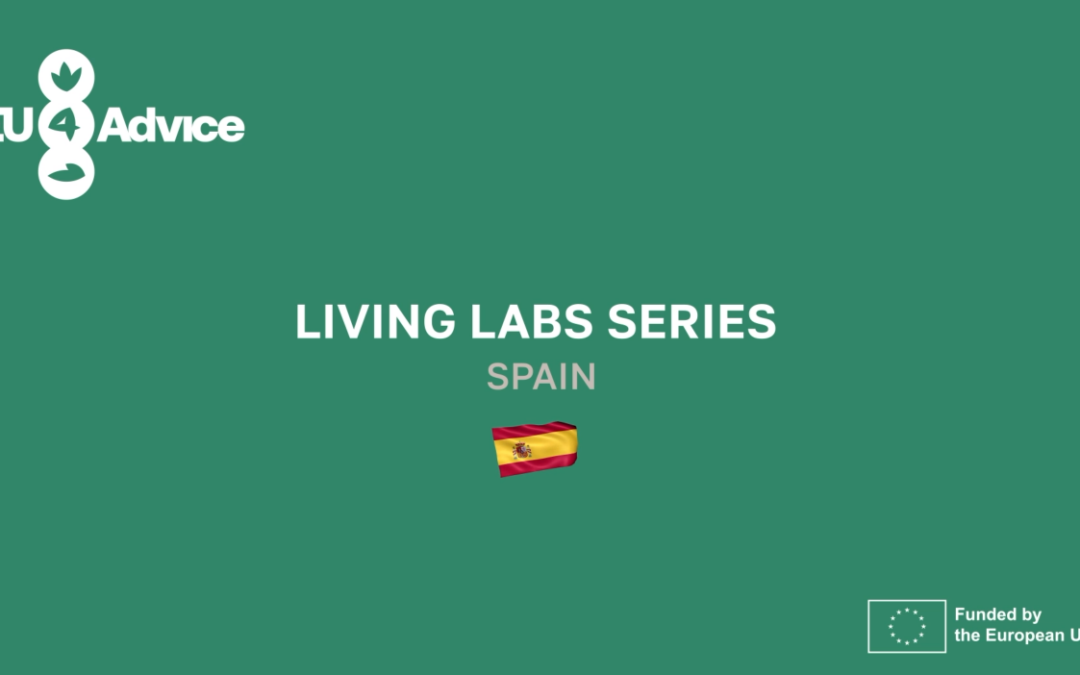 An interview with Jorge Molero, leader of the Living Lab Spain