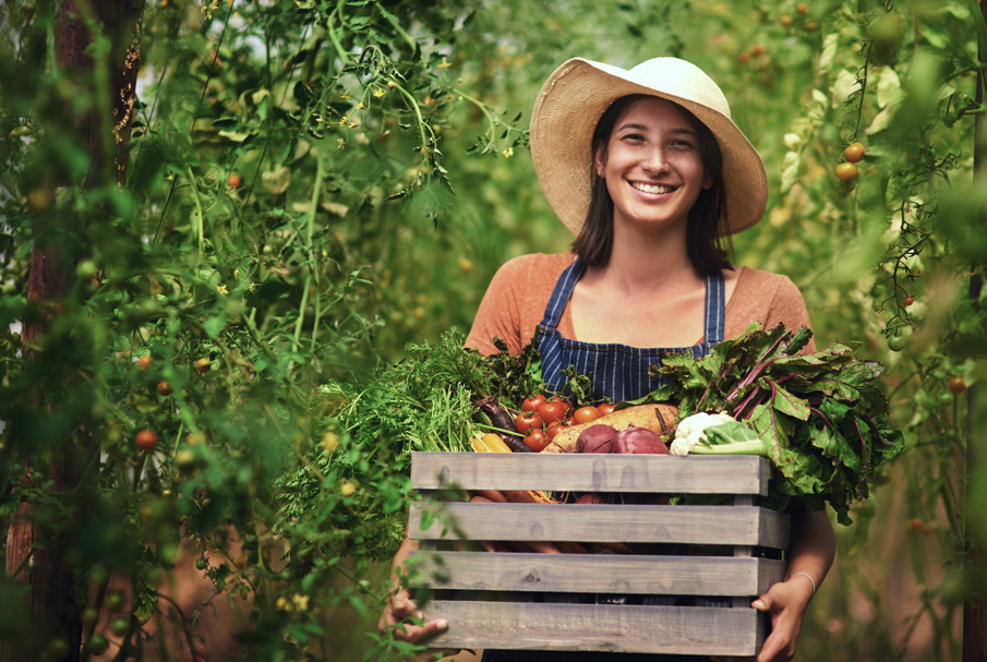 Convocatoria Abierta: Proyectos Lighthouse para Asesoramiento en Cadenas Cortas de Suministro de Alimentos (SFSC)