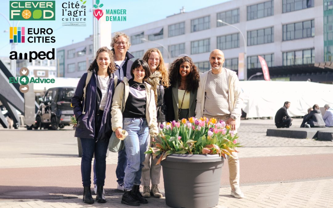 Food systems in play: Peer learning in Amsterdam and Utrecht