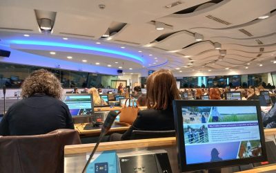 EU4Advice at the FLIARA Project Final Conference